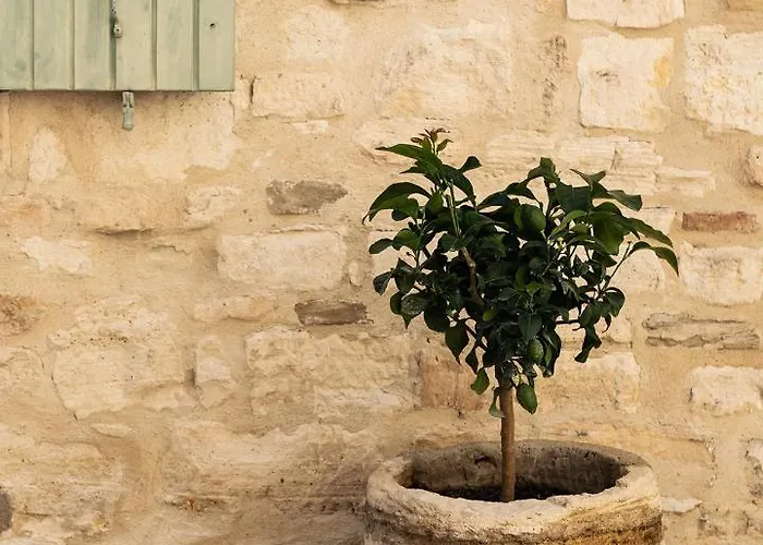 La Fugue, Demeure Historique Proche De Uzes,nimes,cevennes Vendégház Brignon